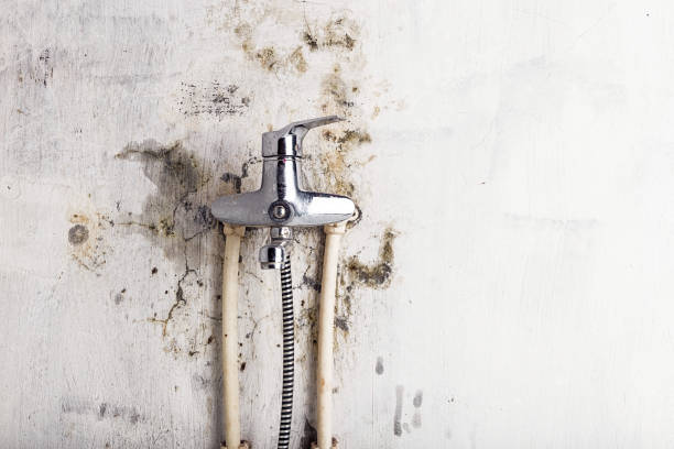 Best Certified Mold Removal  in St Simons, GA