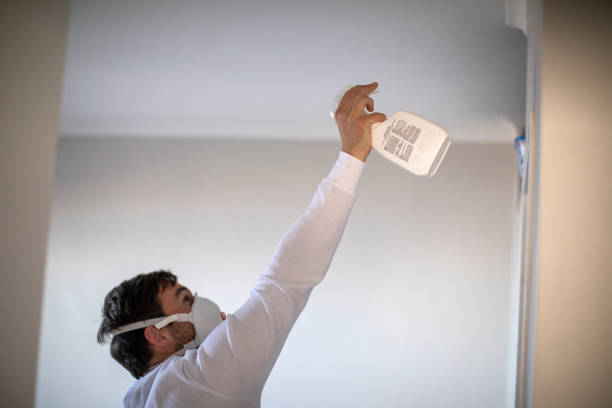 Best Affordable Mold Removal  in St Simons, GA