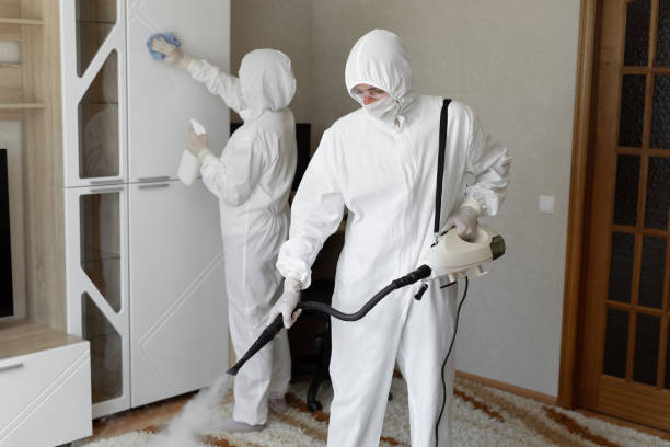Attic Mold Removal in St Simons, GA