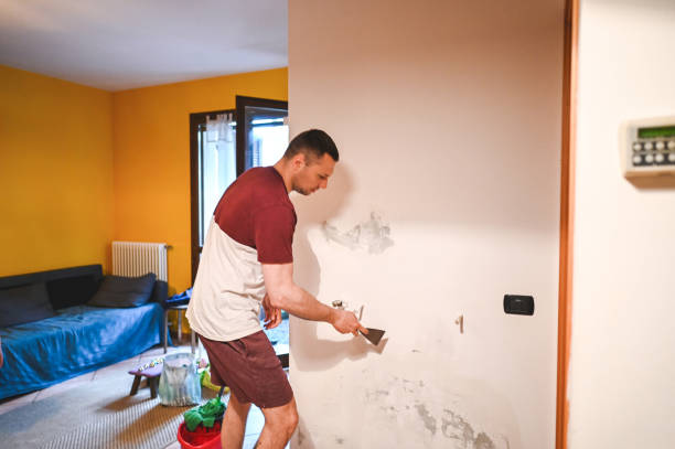 Mold Removal Process in St Simons, GA