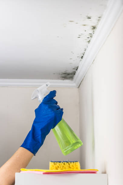 Best Mold Removal Process  in St Simons, GA